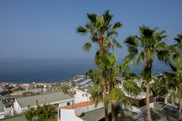Fototapeta na wymiar Los Gigantes view with palm trees Tenerife Spain