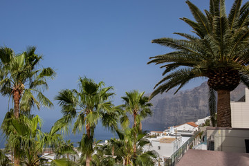 Fototapeta premium Los Gigantes view with palm trees Tenerife Spain
