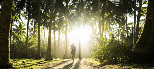A beautiful  girl wearing a large hat and a red bikini is walking on a path surrounded by coconut...