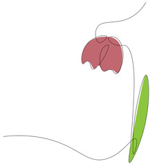 Spring flower border, floral design vector illustration