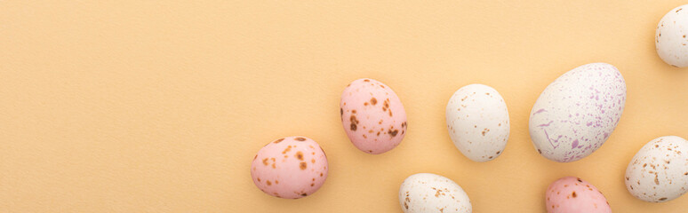 Panoramic shot of quail eggs on beige background