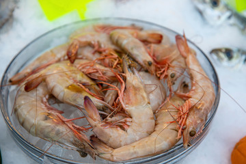 white raw shrimp on plate