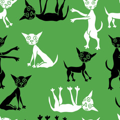 Seamless pattern of cartoon black and white kittens
