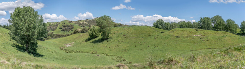 green mild slopes in hilly countryside,  near Te Haroto,  Hawkes Bay, New Zealand