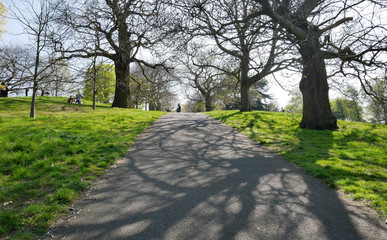 the Greenwich park in London