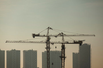 silhouettes of construction cranes against the blue sky	