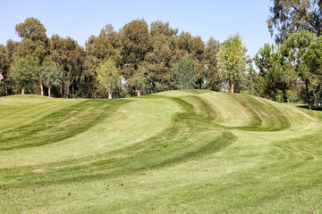 The jet of water watering the lawn for a game of Golf. Golf course with hills and plains, trees and a pond with water. A large field with perfectly trimmed grass.