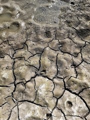 dry cracked earth