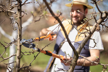 young farmer pruning trees