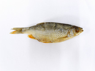salted dried salted white fish on a white background