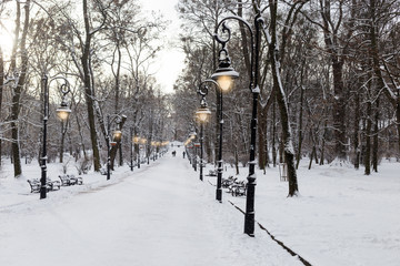 Winter landscape with snow covered park