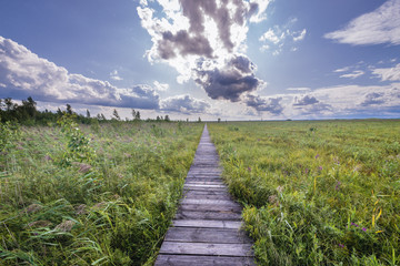 Wooden tourist walkway called Dluga Luka on a Lawki swamps in Biebrza National Park, Podlasie...