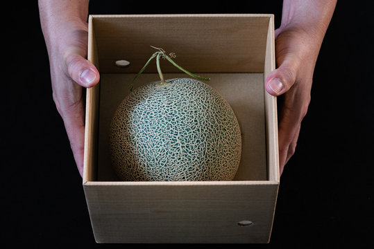 High quality Japan melon