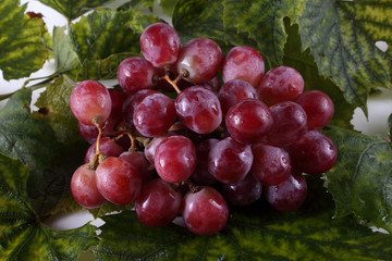 Grape on autumn leaves background