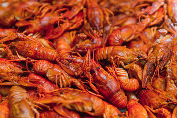 boiled crayfish on an iron plate. boiled red crayfish background for menu. top view, close up photo. a plate of cooked crayfish. Boiled crayfish, a traditional Russian dish. vintage photo processing