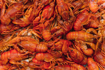 boiled crayfish on an iron plate. boiled red crayfish background for menu. top view, close up photo. a plate of cooked crayfish. Boiled crayfish, a traditional Russian dish. vintage photo processing