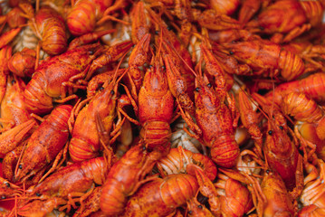 boiled crayfish on an iron plate. boiled red crayfish background for menu. top view, close up photo. a plate of cooked crayfish. Boiled crayfish, a traditional Russian dish. vintage photo processing