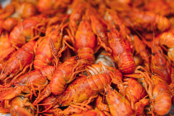 boiled crayfish on an iron plate. boiled red crayfish background for menu. top view, close up photo. a plate of cooked crayfish. Boiled crayfish, a traditional Russian dish. vintage photo processing
