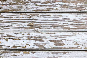 Light gray wooden background. Wooden background, painted surface of the old gray boards. Weathered gray wood texture. Horizontal planks