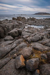 Fototapeta na wymiar A rocky shore in South Africa