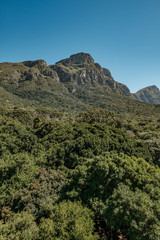 Fototapeta premium Looking up a mountain peak over a dense forest