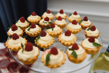 Delicious sweets on wedding candy buffet with desserts, cupcakes,tiramisu and cookies