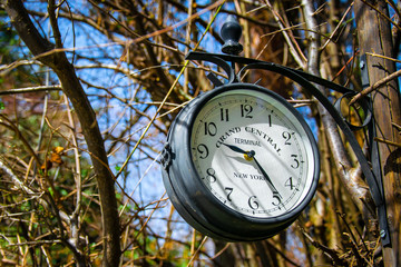 Clock in Nature