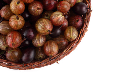 Red and violet gooseberries on wicked plate