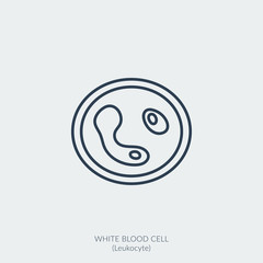 Medical vector line icon of white blood cell or leukocyte