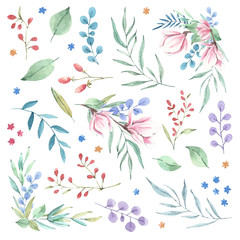 Hand drawn watercolor botanical elements set. Flowers, leaves, bouquets, isolated illustration