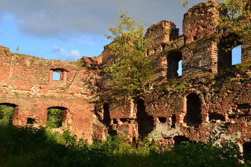 Fototapeta premium Brandenburg Castle XIII