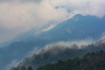 Mountains after rain. Water evaporating off the forest. Forest covered by low clouds.