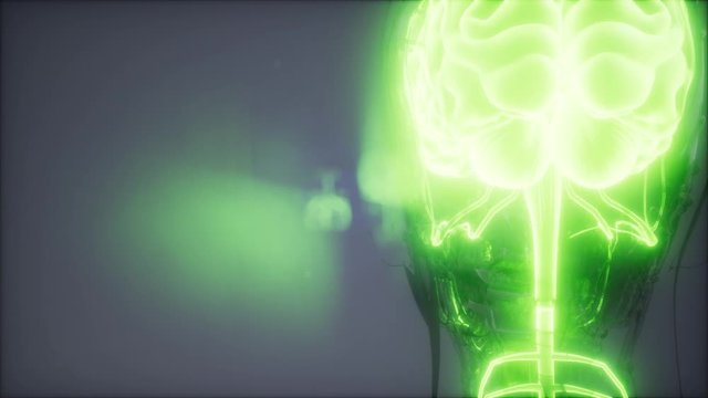 science anatomy scan of human brain glowing