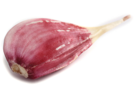 Red Clove Of Garlic Isolated On White