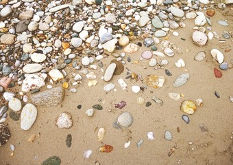 Multicolored stones and gravel on wet river sand