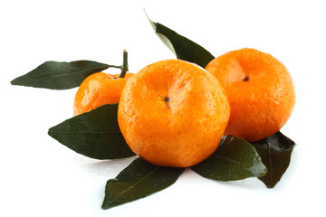 Three mandarin oranges with leaves