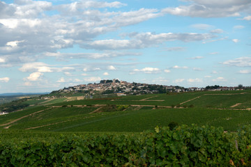 Obraz premium village de Sancerre
