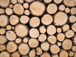 Fototapeta premium Pile of wood logs ready for winter
