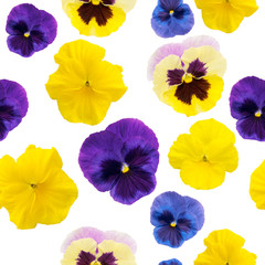 Seamless pattern of beautiful spring flowers. Pansies multi-colored on a white isolated background. Fabric, packaging, wrapping paper.