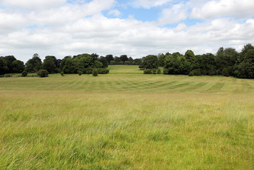 A large green field with trees in the distance