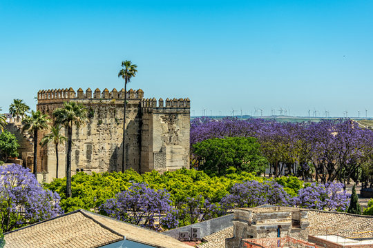 A beautiful view of the Alcazar and the landscape with a flowering jacaranda and wind generators in a field from the bell tower of the Cathedral in the city of Jerez de la Frontera in Spain