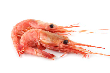 Shrimps isolated on white