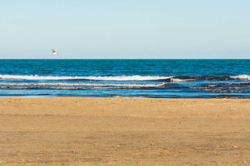 Fototapeta na wymiar Valencia Beach (Malvarrosa) with birds and boats