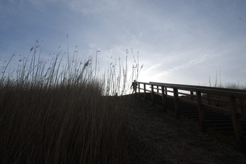 Germany, ein Deich in Schleswig Holstein