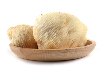 Hericium erinaceus mushroom (monkey head mushroom, bearded tooth fungus, bearded hedgehog mushroom, pom pom, lion's mane mushroom) © Alex Coan