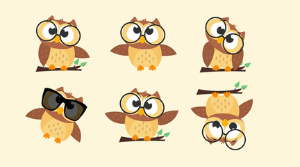 Collection of Owls in different poses