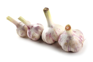 Garlic isolated on white