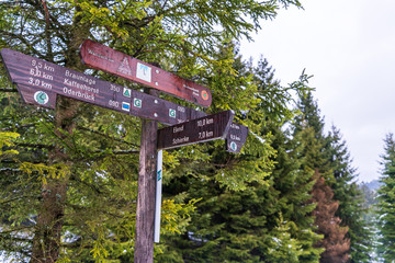 Wooden sign on the way to the Brocken mountain