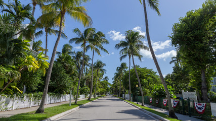 Fototapeta na wymiar Palm trees both side on the street in Key West Florida