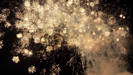 White and yellow green fireworks display on dark sky background. Brightly colorful fireworks on twilight background